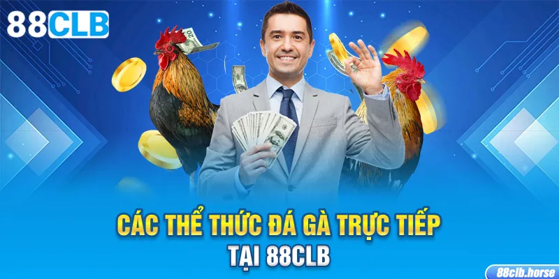 Các thể thức đá gà trực tiếp tại 88CLB