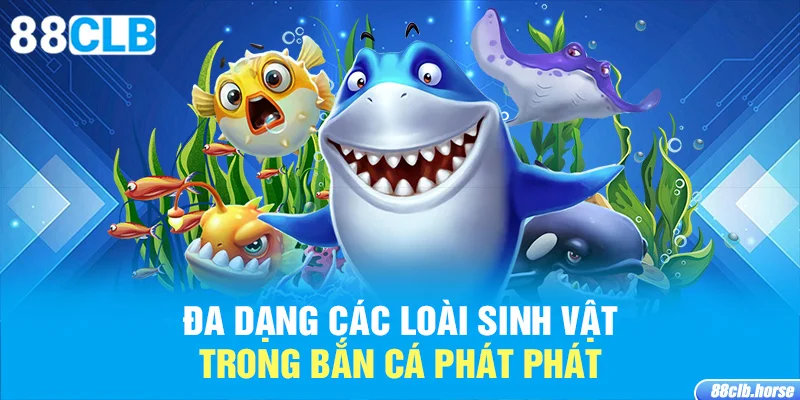 Đa dạng các loài sinh vật trong bắn cá phát phát