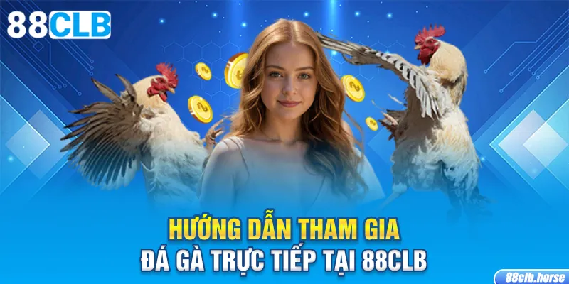 Hướng dẫn tham gia đá gà trực tiếp tại 88CLB