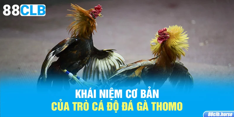 Khái niệm cơ bản của trò cá độ đá gà Thomo