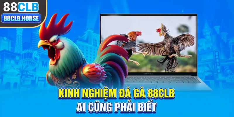 Kinh nghiệm đá gà 88CLB ai cũng phải biết