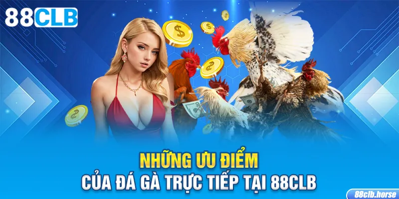 Những ưu điểm của đá gà trực tiếp tại 88CLB