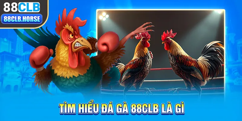 Tìm hiểu đá gà 88CLB là gì