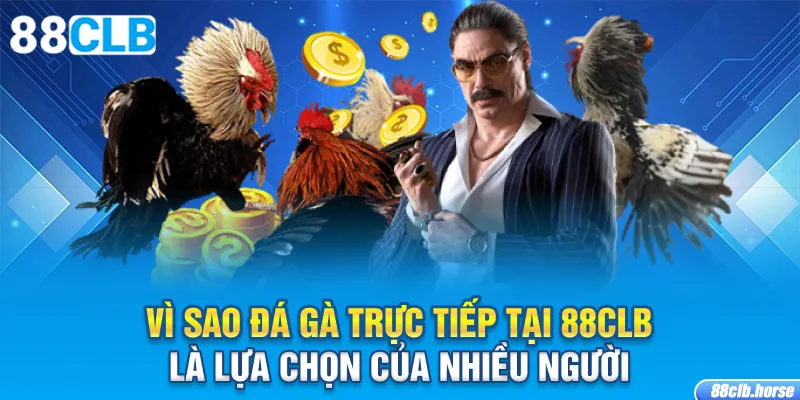 Vì sao đá gà trực tiếp tại 88CLB là lựa chọn của nhiều người